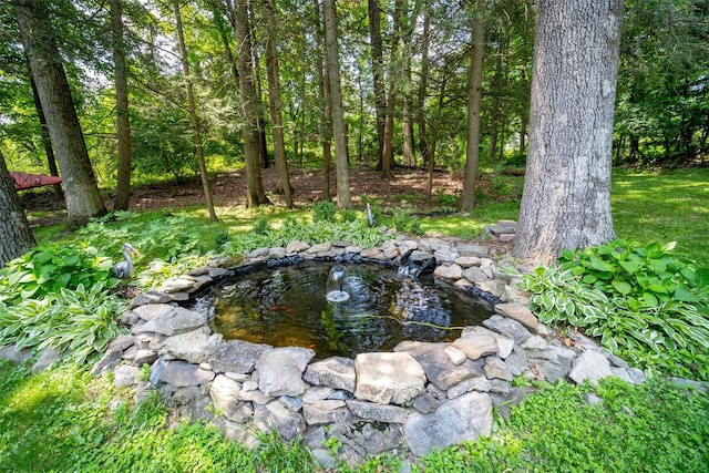 35 Wildwood Dr, Poughkeepsie, NY 12603 - photo 28