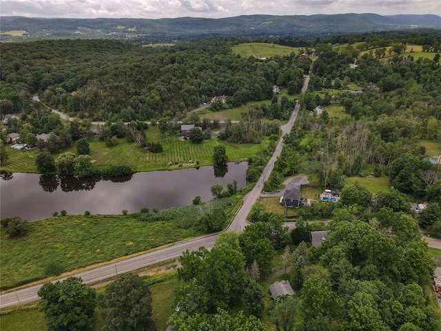 1 Jessup Rd, Warwick, NY 10990 - photo 9
