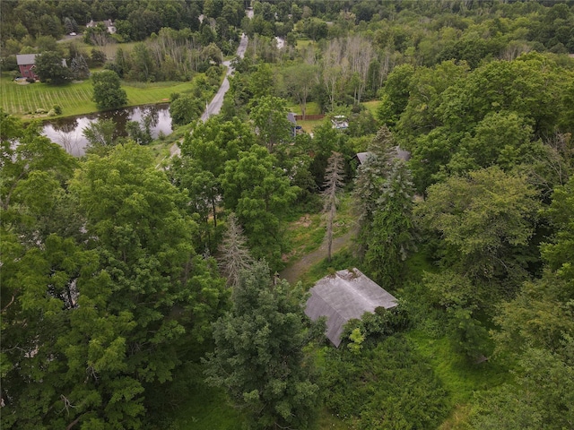 1 Jessup Rd, Warwick, NY 10990 - photo 10