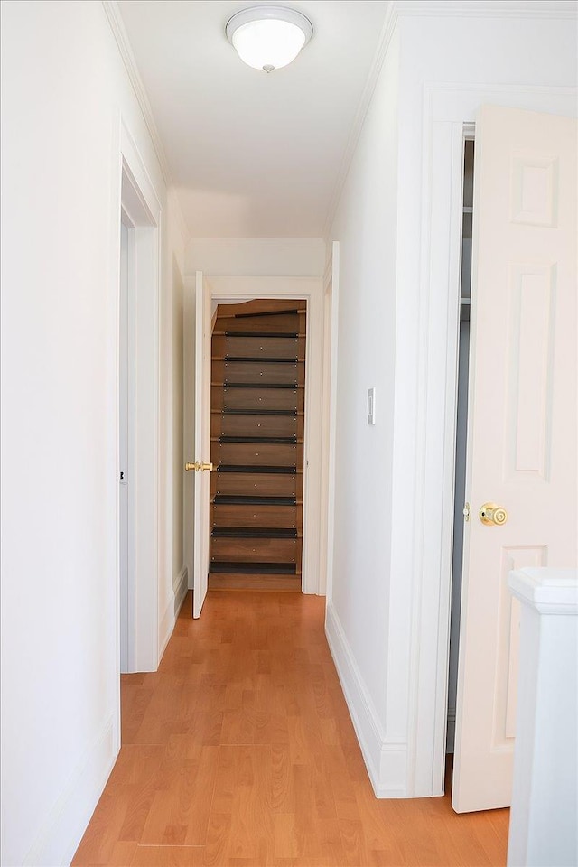 8421 169th St, Jamaica Hills, NY 11432 - photo 20