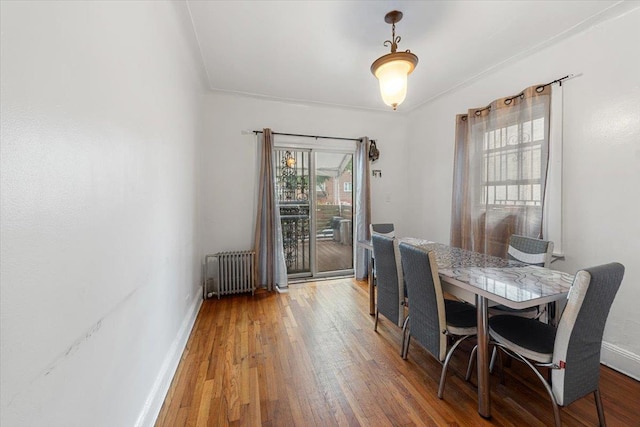 2323 Powell Ave, Bronx, NY 10462 - photo 6