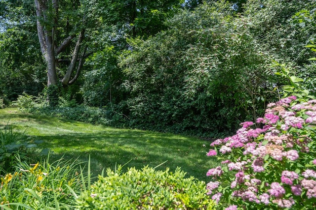 53 Nathan Hale Dr Unit 7A, Huntington, NY 11743 - view of undeveloped land