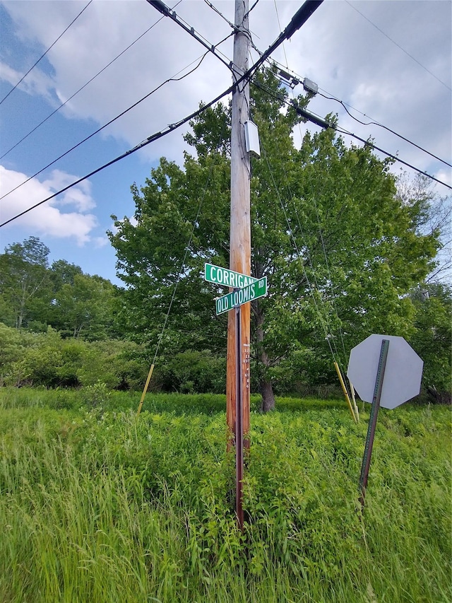 Old Loomis Rd, Liberty, NY 12734