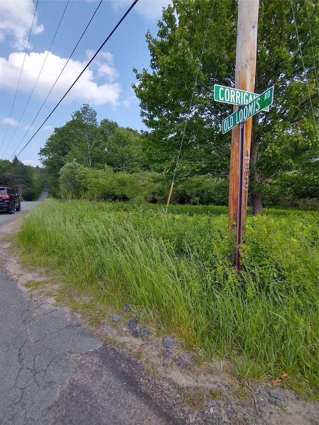Old Loomis Rd, Liberty, NY 12734