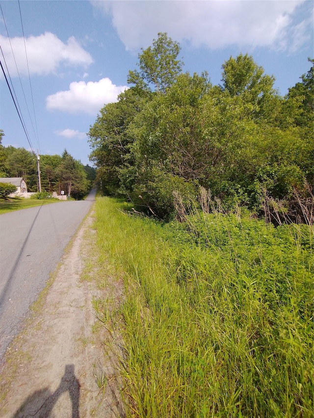 Old Loomis Rd, Liberty, NY 12734
