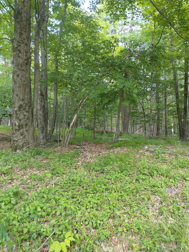 Old Loomis Rd, Liberty, NY 12734