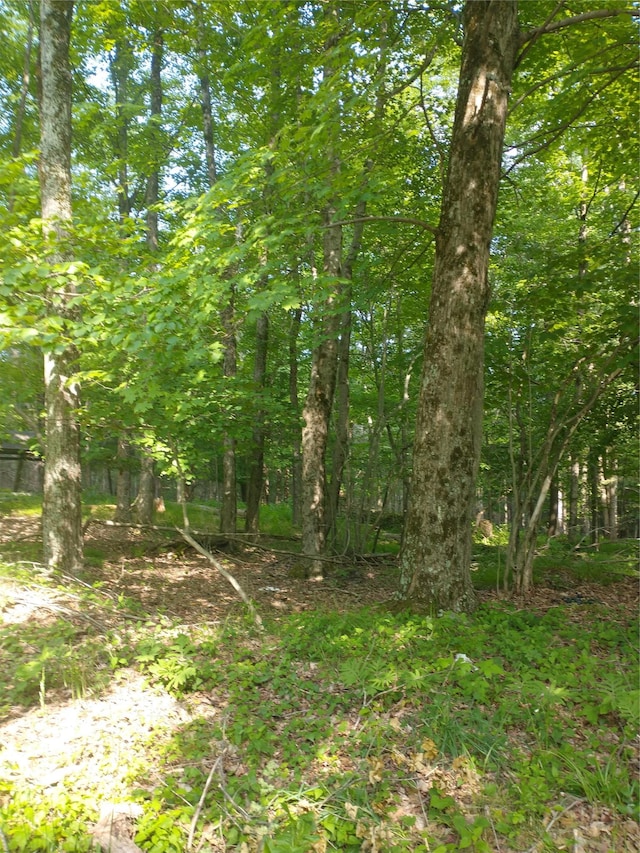 Old Loomis Rd, Liberty, NY 12734