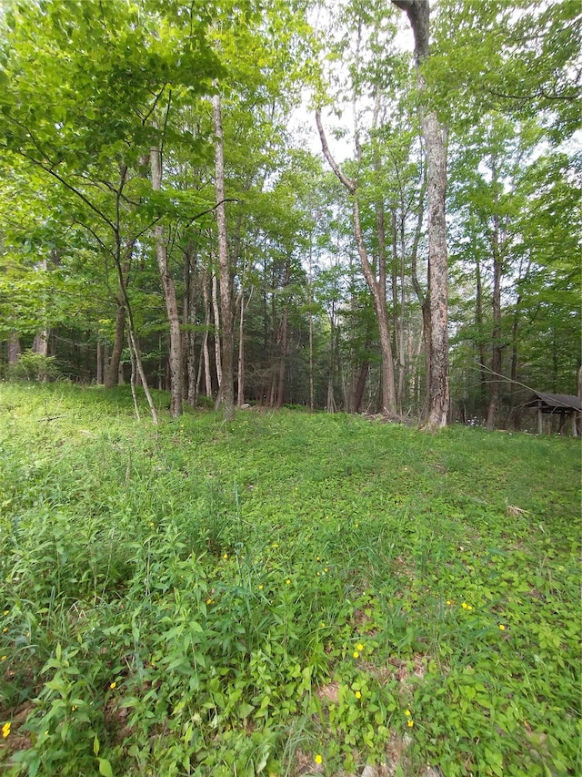 Old Loomis Rd, Liberty, NY 12734