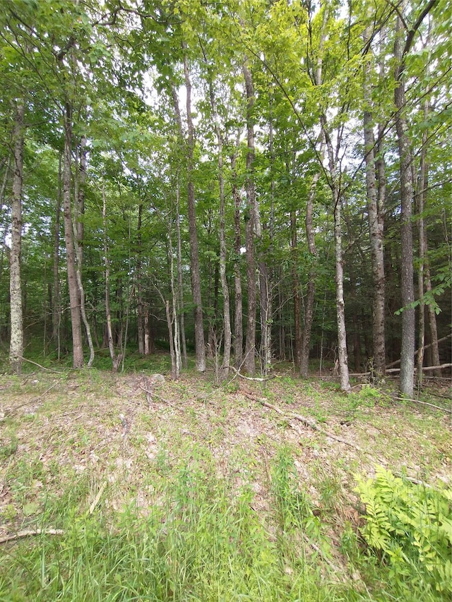 Old Loomis Rd, Liberty, NY 12734