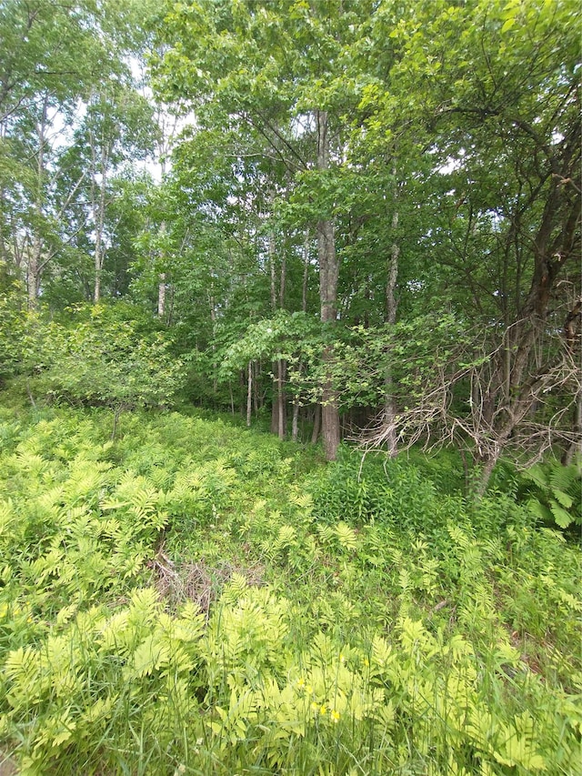 Old Loomis Rd, Liberty, NY 12734