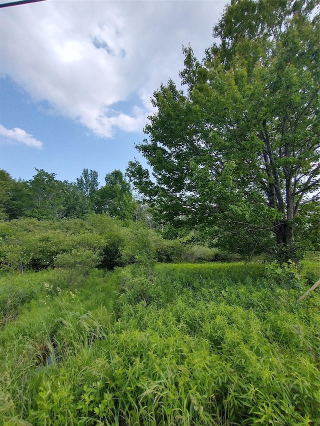 Old Loomis Rd, Liberty, NY 12734