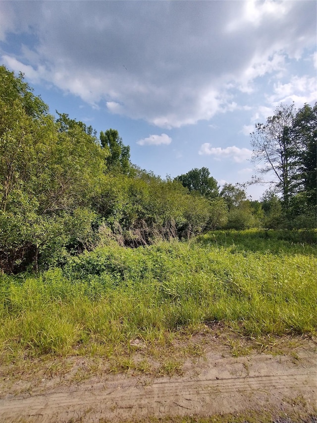 Old Loomis Rd, Liberty, NY 12734