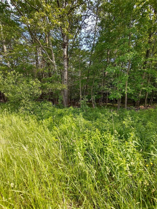 Old Loomis Rd, Liberty, NY 12734