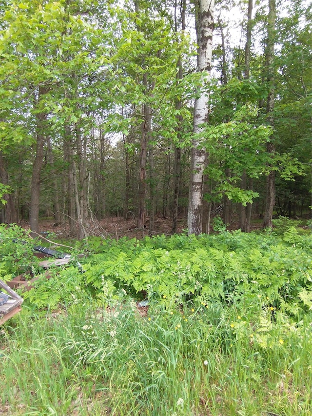 Old Loomis Rd, Liberty, NY 12734