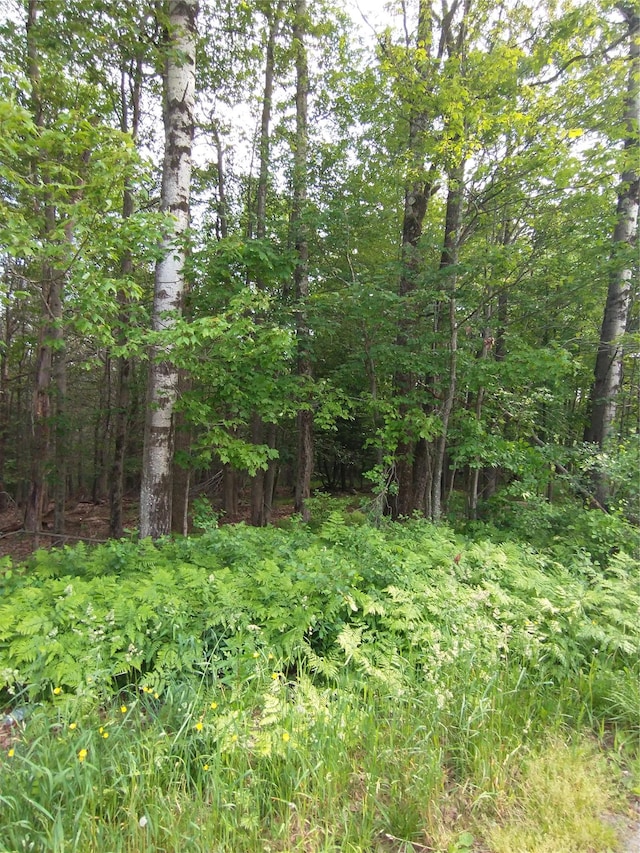 Old Loomis Rd, Liberty, NY 12734