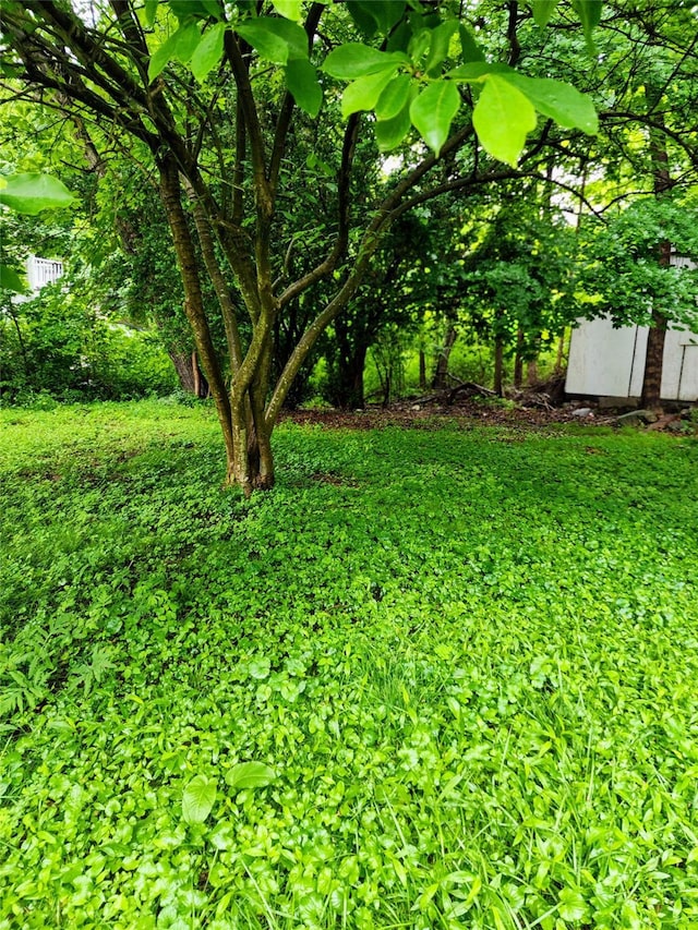 13SLake Drive, Patterson, NY 12563 - view of yard