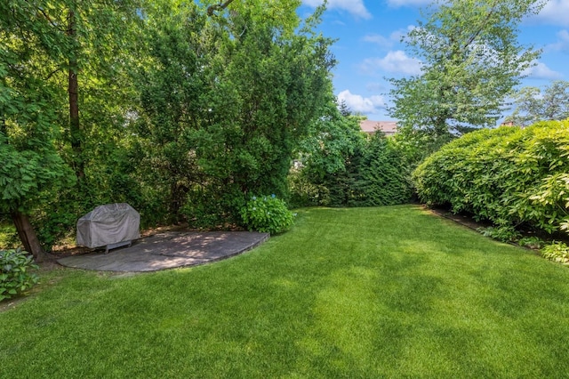 19615 Como Ave, Holliswood, NY 11423 - view of green lawn with a patio area