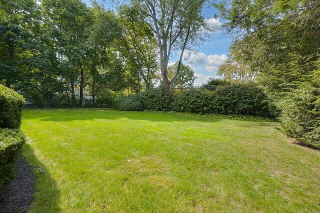 15 Eastover Dr, East Northport, NY 11731 - view of green lawn