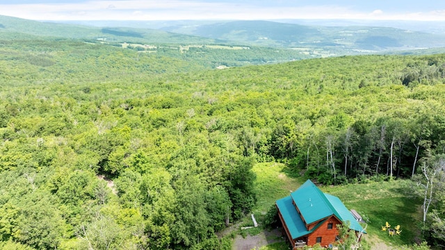 892 Durham Rd, Gilboa, NY 12076 - bird's eye view of a heavily wooded area and a mountainous background