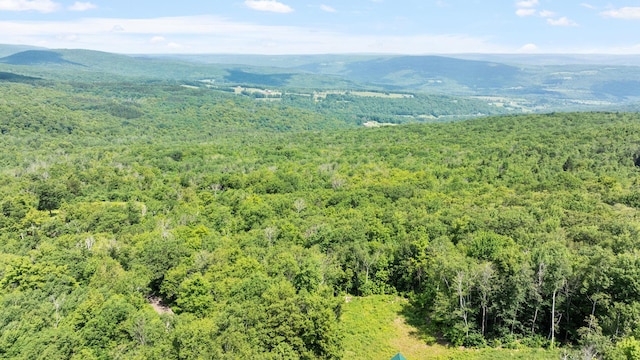 892 Durham Rd, Gilboa, NY 12076 - bird's eye view of a mountain backdrop