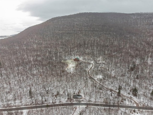892 Durham Rd, Gilboa, NY 12076 - aerial overview of property's location featuring a mountainous background
