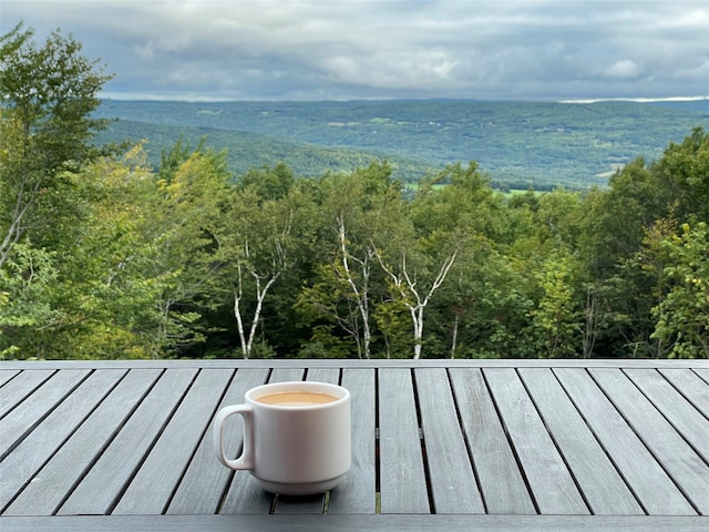 892 Durham Rd, Gilboa, NY 12076 - water view featuring a forest