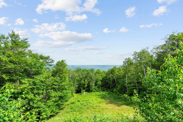 892 Durham Rd, Gilboa, NY 12076 - view of woods