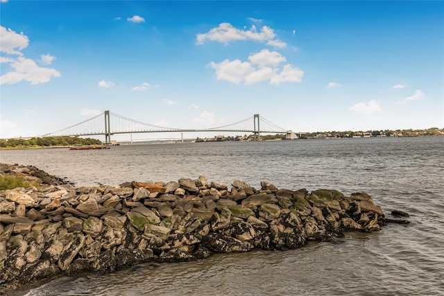 116 Surf Dr Unit 465, Bronx, NY 10473 - photo 41
