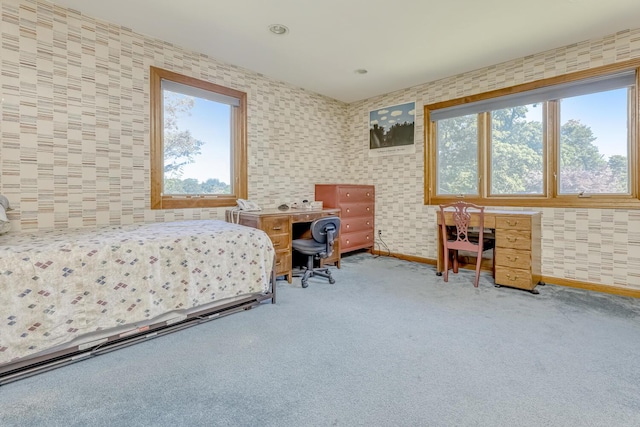 8 Briarwood Ln, Suffern, NY 10901 - photo 29