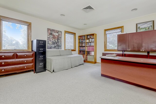 8 Briarwood Ln, Suffern, NY 10901 - photo 30