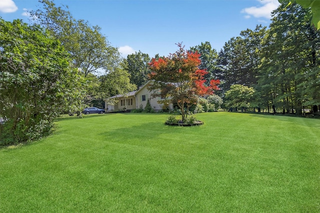4 Mary Ann Ave, Saugerties, NY 12477 - view of grassy yard