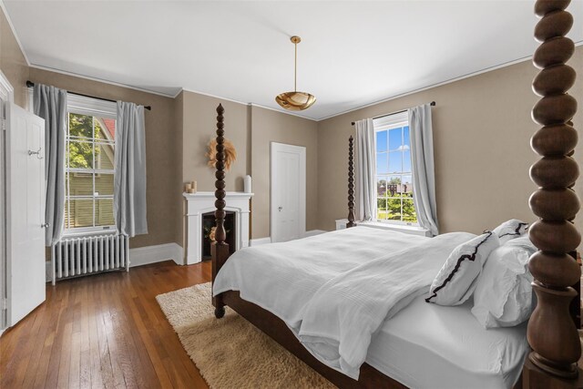103 Albany Ave, Kingston, NY 12401 - bedroom with radiator heating unit, wood-type flooring, and ornamental molding