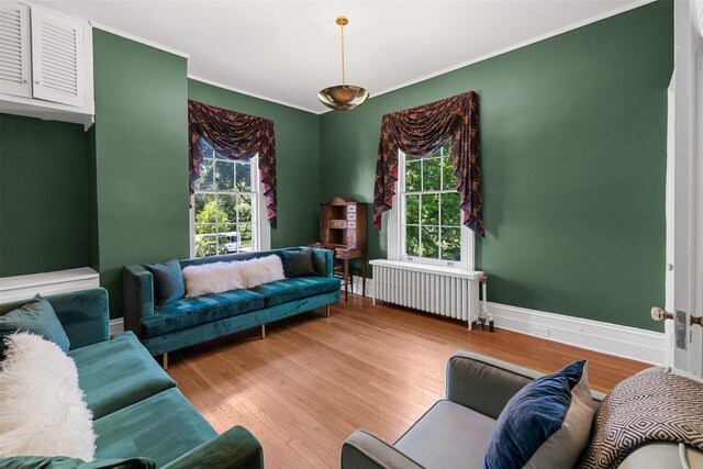 103 Albany Ave, Kingston, NY 12401 - living room with radiator, wood finished floors, and ornamental molding