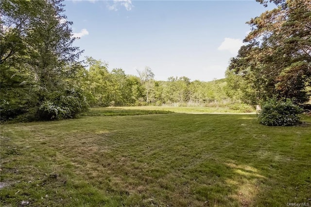 380 Whippoorwill Rd, Chappaqua, NY 10514 - photo 12