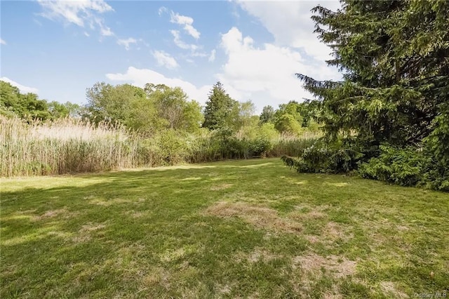 380 Whippoorwill Rd, Chappaqua, NY 10514 - photo 13