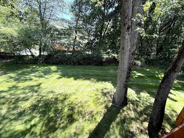 7 Maplewood Ln, New City, NY 10956 - view of green lawn