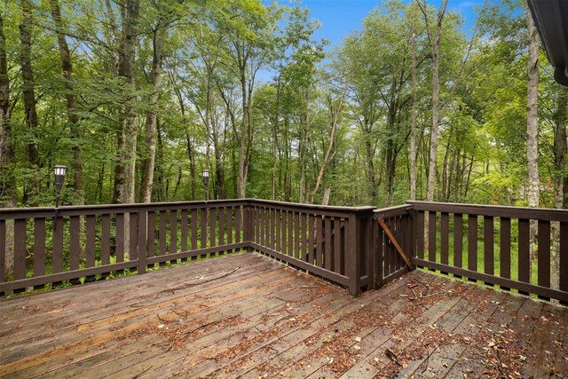 33 Meadowlark Ln, Woodridge, NY 12789 - photo 20