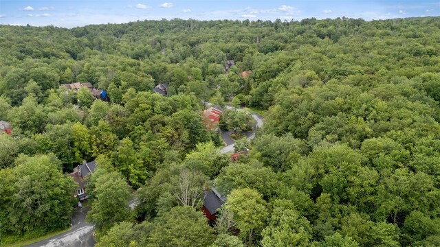 33 Meadowlark Ln, Woodridge, NY 12789 - photo 23
