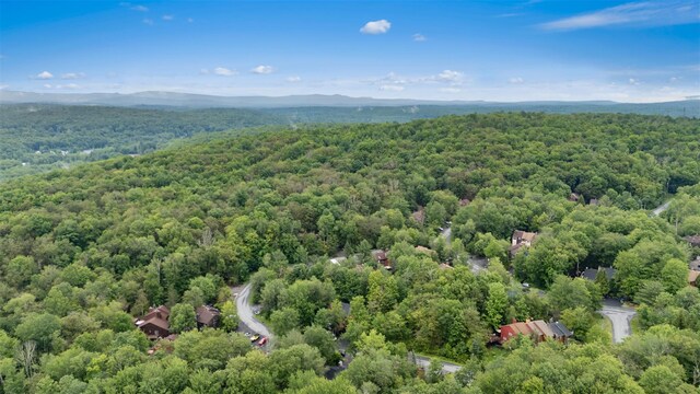 33 Meadowlark Ln, Woodridge, NY 12789 - photo 24