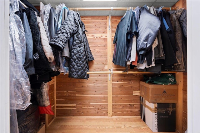 102 Paget Ln, Massapequa, NY 11758 - view of spacious closet
