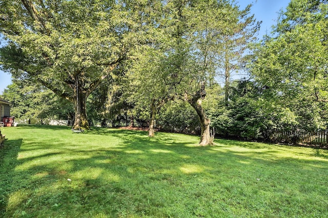 28 Moseman Ave, Katonah, NY 10536 - view of yard
