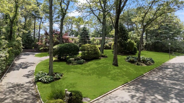 14 Durham Dr, Dix Hills, NY 11746 - photo 49