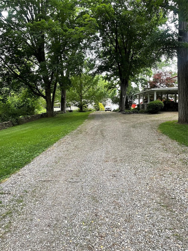 3 Rte 216, Hopewell Junction, NY 12533 - photo 45