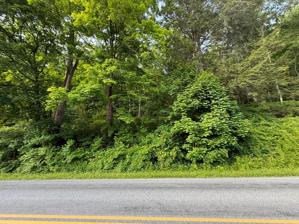 591 Bog Hollow Rd, Wassaic, NY 12592 - photo 1