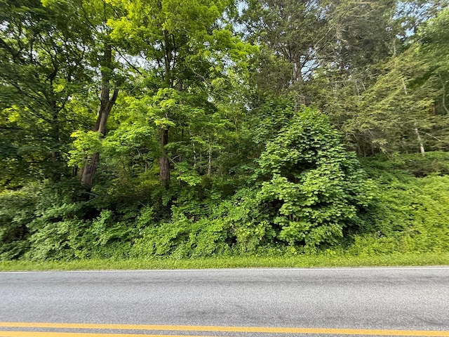 591 Bog Hollow Rd, Wassaic, NY 12592 - photo 1