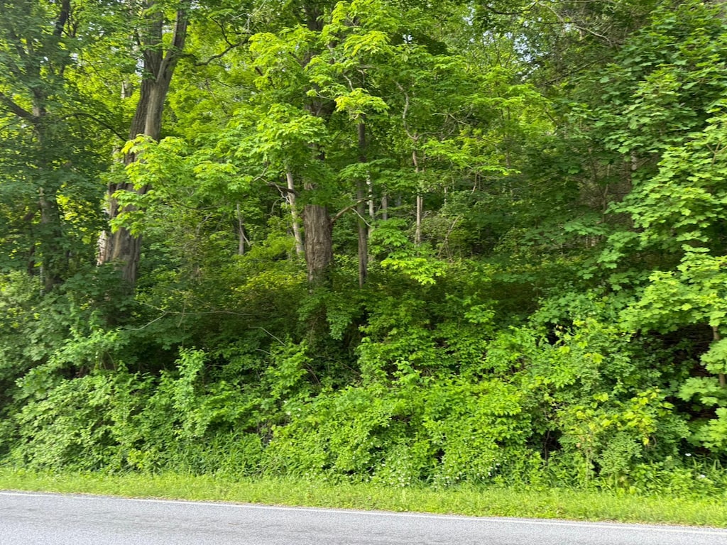 591 Bog Hollow Rd, Wassaic, NY 12592 - photo 2
