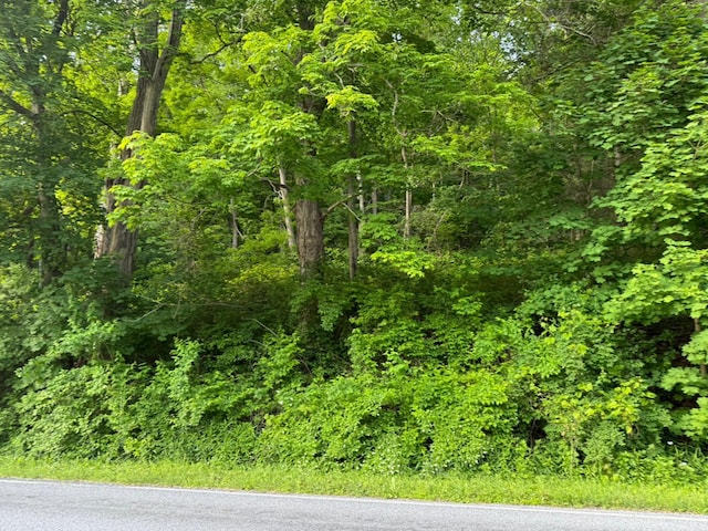 591 Bog Hollow Rd, Wassaic, NY 12592 - photo 2