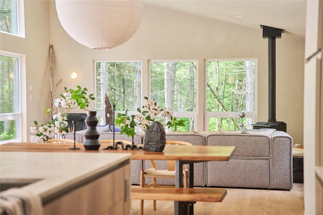 252 Swamp Pond Rd, Narrowsburg, NY 12764 - living area featuring a wood stove, wood finished floors, plenty of natural light, and vaulted ceiling