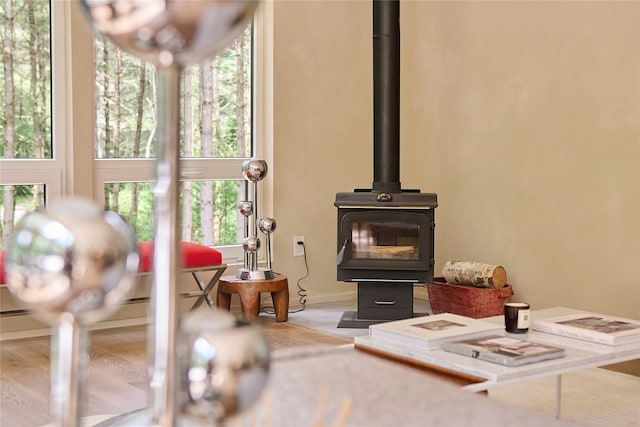 252 Swamp Pond Rd, Narrowsburg, NY 12764 - detailed view of a wood stove and wood finished floors