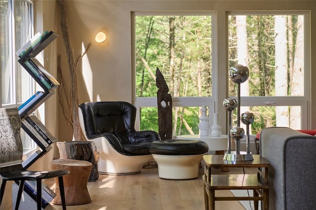 252 Swamp Pond Rd, Narrowsburg, NY 12764 - living area featuring wood finished floors